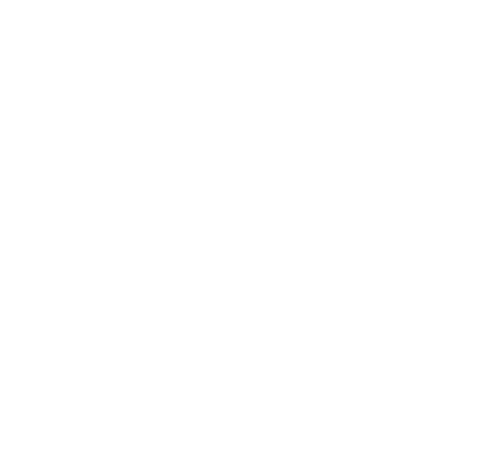 Equatorial Space Store